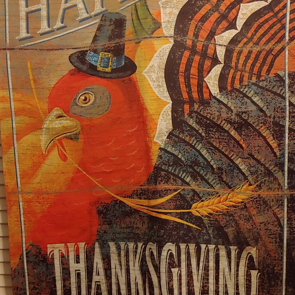 Carson Thanksgiving outdoor flag 28x38 inches extra colorful